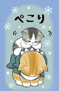 今日お休みします🌀